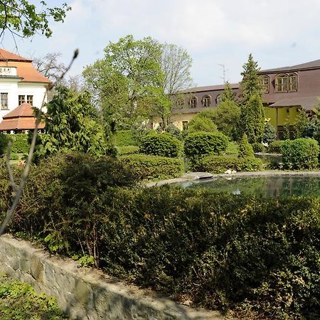 Hotel David Velke Bosany Exterior foto