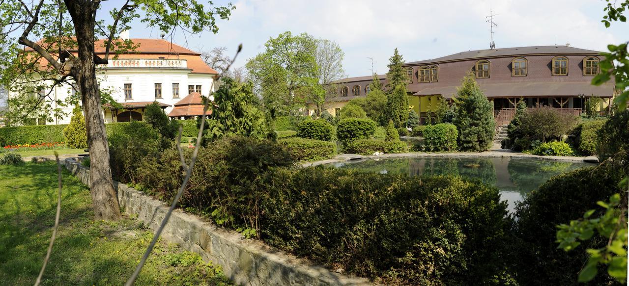 Hotel David Velke Bosany Exterior foto
